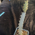 Euphorbia lactea variegata cv white ghost