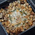 Turbinicarpus schmiedickeanus ssp.flaviflorus